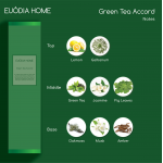 Green Tea Accord Fragrance Diffuser 100 ml